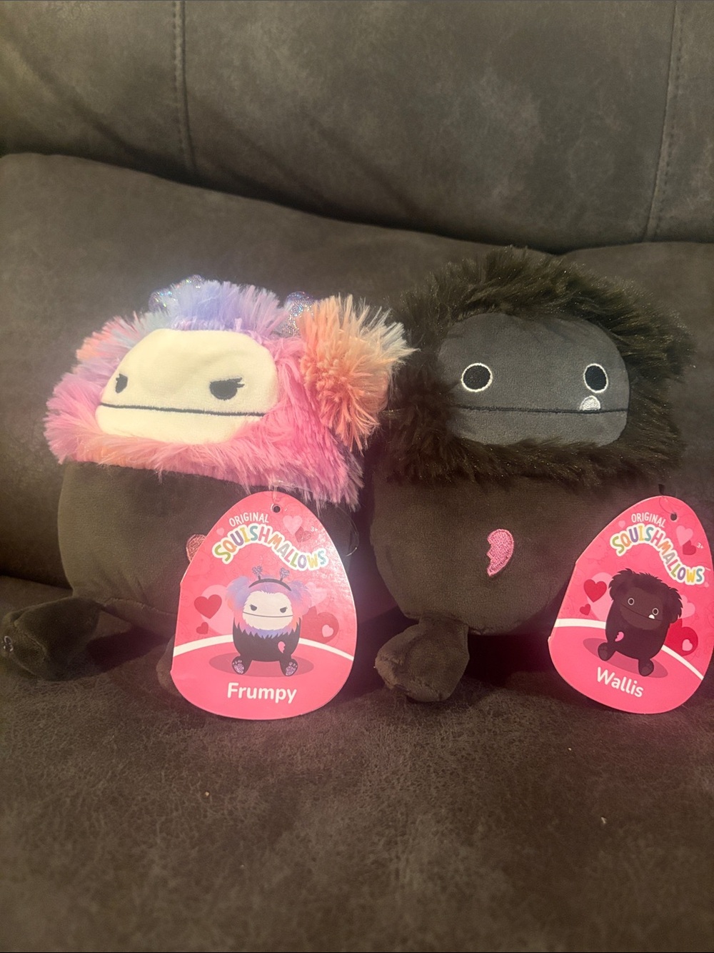 Squishmallows Frumpy & Wallis Plush Duo - Brown with Pink & Multicolor Accents